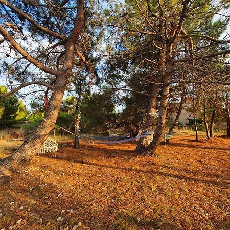 Apartmani Bellevue 비르 외부 사진